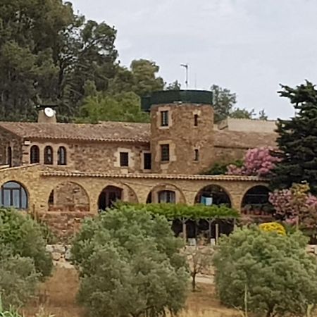 Mas Tomas Guest House Вай-Йобрега Екстериор снимка